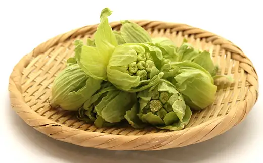 〈先行予約〉天栄村×鏡石町コラボ返礼品 山菜ごちそうセット ふきのとうとタラの芽（各100g） 山菜 野菜 食品 フキノトウ たらのめ 福島県 天栄村 鏡石町 F21T-487