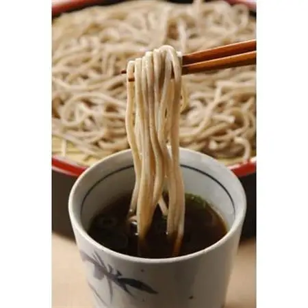 掛川そねの生葛そば(つゆ付き)220g(約2人前)×4袋セット【配送不可地域：離島・北海道・沖縄県・四国・九州】【1119889】