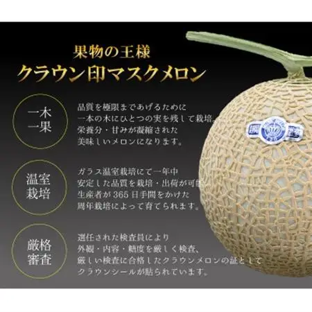 【厳選】高級クラウンマスクメロン山級　1.4kg以上×2玉入り【配送不可地域：離島・北海道・沖縄県・四国・九州】【1597045】
