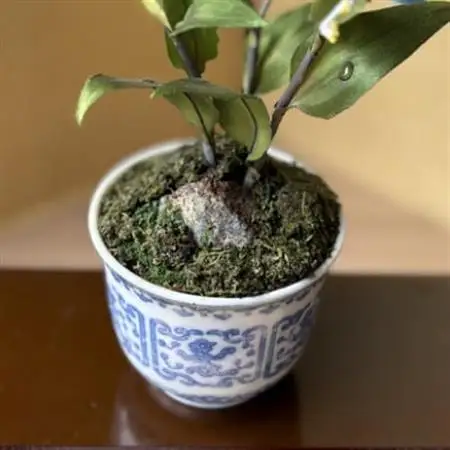 【夏　つゆ草】四季を彩る創作草もの盆栽(工芸品)～工房椿【配送不可地域：離島・北海道・沖縄県】【1599102】