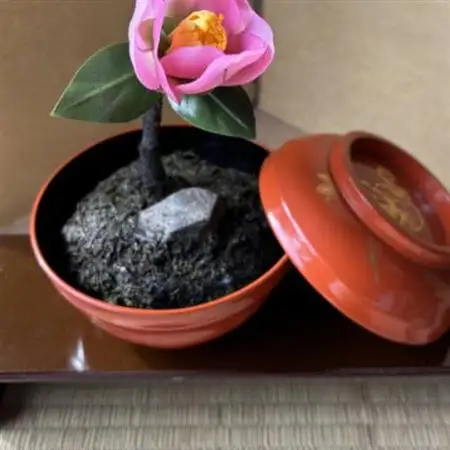 【冬 わびすけつばき】四季を彩る創作草もの盆栽(工芸品)～工房椿【配送不可地域：離島・北海道・沖縄県】【1599117】