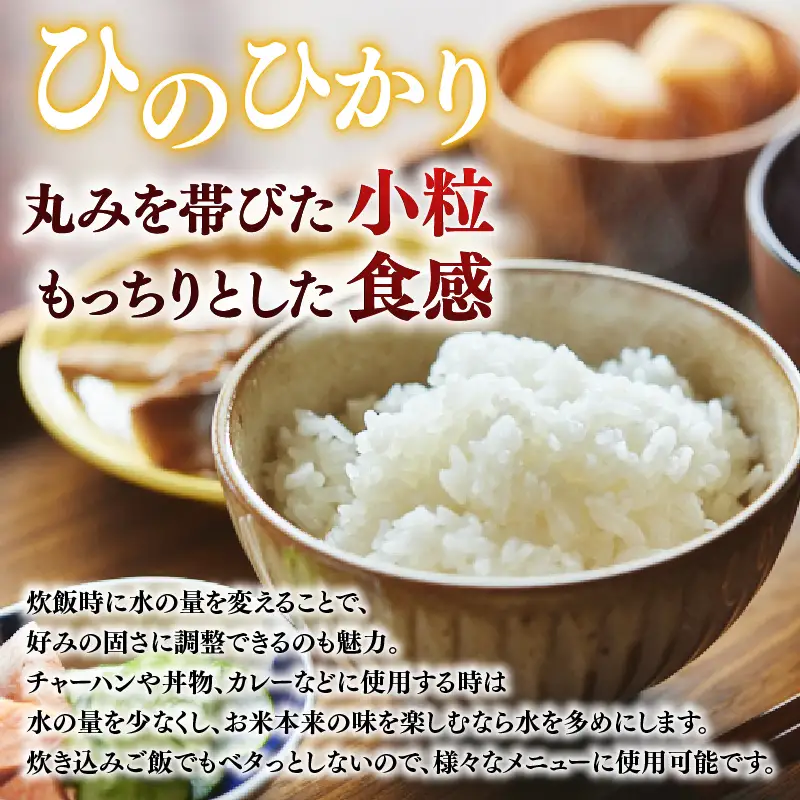 定期便 ヒノヒカリ 白米 5kg×10回
