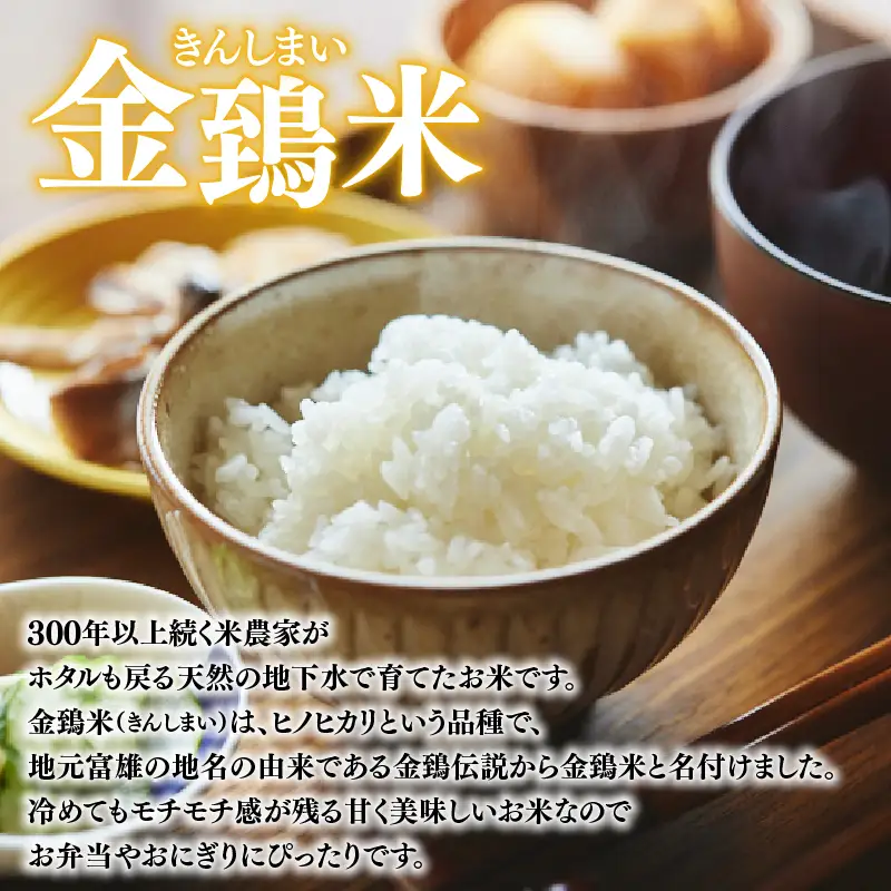 定期便 パックごはん 白米 40個×10回