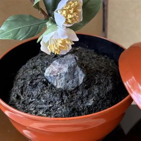 【茶の花】四季を彩る創作草もの盆栽(工芸品)～工房椿【配送不可地域：離島・北海道・沖縄県】【1599129】