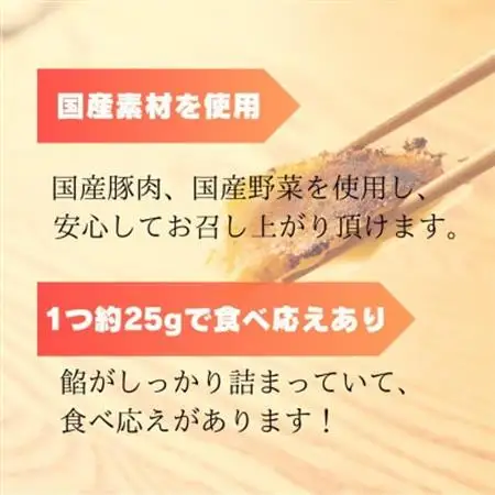 創業昭和五十三年　すすきの　冷凍にんにく生餃子　25g×11個　6パック　計66個【餃子のタレ付き】【配送不可地域：離島・北海道・沖縄県・四国・九州】【1619080】