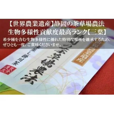 世界農業遺産 茶草場農法 深蒸し掛川茶 100g×3袋 静岡県掛川産 煎茶 一番茶【配送不可地域：離島・沖縄県】【1619202】