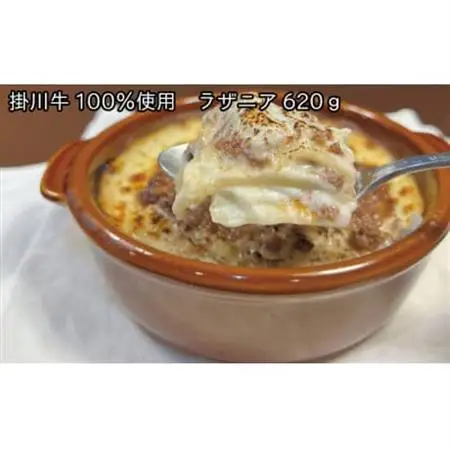掛川牛がごろごろはいったラザニアとドリアの食べ比べセット【配送不可地域：離島・北海道・沖縄県・四国・九州】【1633538】