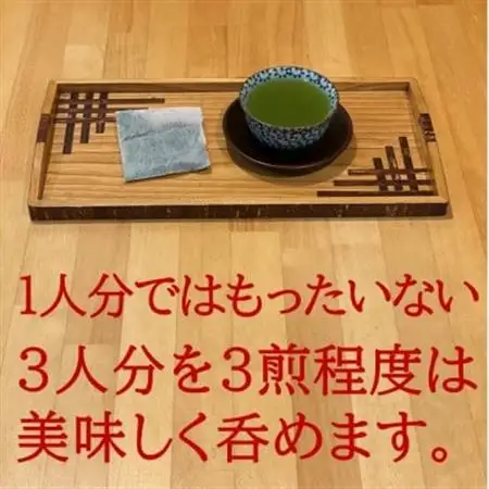 深蒸し掛川茶ティーバッグ　計200個入【配送不可地域：離島・沖縄県】【1650196】