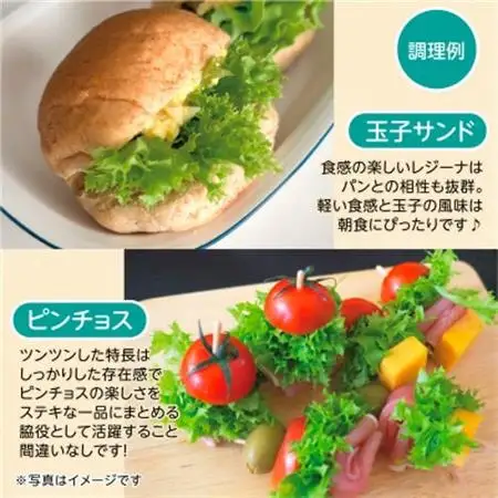 【こだわりの1種×6株】リーフレタス「掛川ラットューガ・レジーナ」【配送不可地域：離島・北海道・沖縄県・四国・九州】【1695451】