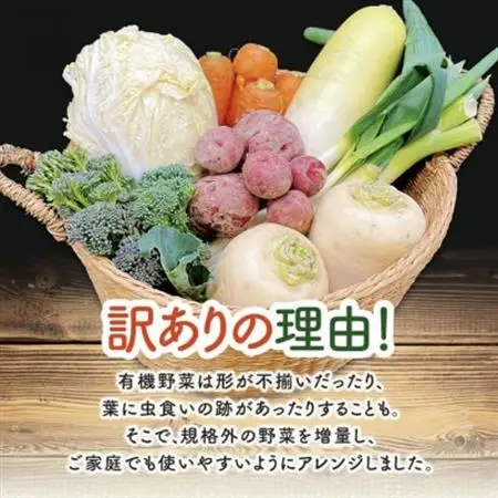 【毎月定期便】しあわせ野菜畑のシェフMセット　(訳あり規格外の有機野菜を一部使用)全12回【配送不可地域：離島・北海道・沖縄県・四国・九州】【4066015】