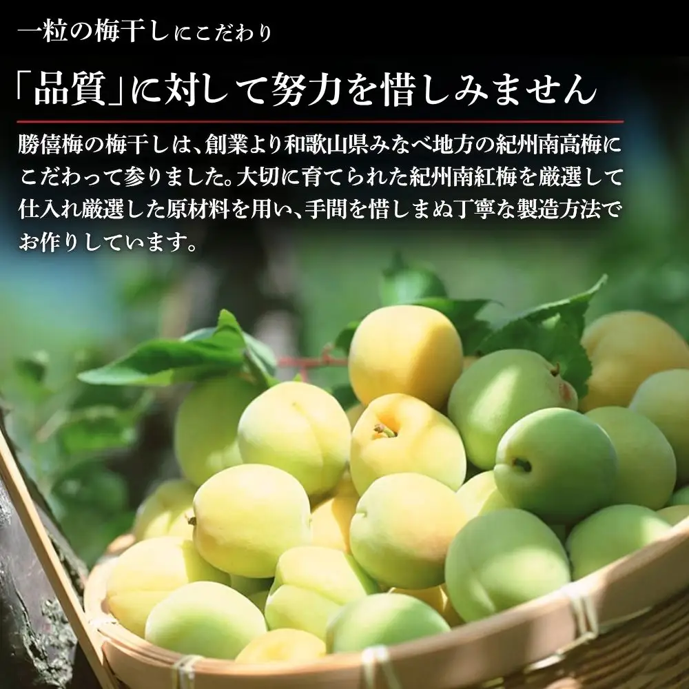 勝僖梅 紀州南高梅 2種セット 350g×2｜はちみつ仕立て・甘仕立て【shokibai007】