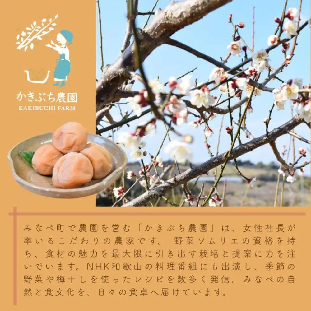 【藻塩仕込みの梅酢は数量限定】 野菜ソムリエ仕込み 梅酢・梅シロップセット 紀州南高梅使用 200ml×各1本【kkbc003】