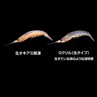 釣りエサ　GクリルWパック　Mサイズ　約100g（約50g×2パック）×6個　hmi012【hmi012】