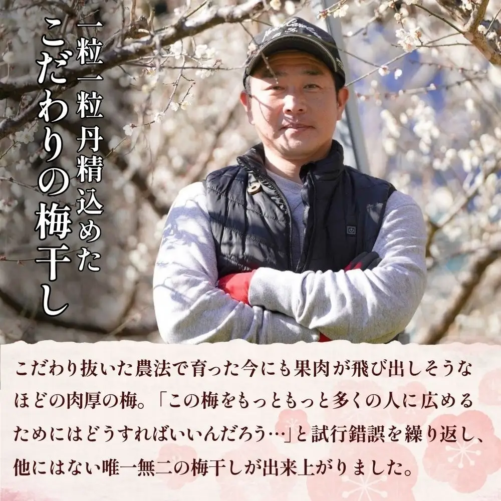 紀州南高梅 はちみつ梅 1kg/塩分：約8％　　jke004【jke004】