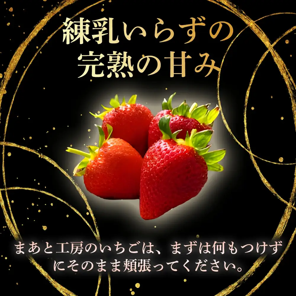 【体験】いちご狩り体験ファミリーチケット【maato003A】