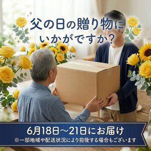父の日ギフト トイレットペーパー エリエール トイレットティシュー リーフプリント 12ロール ダブル 6個 セット トイレ ペーパー 日用品 消耗品 静岡 静岡県 島田市