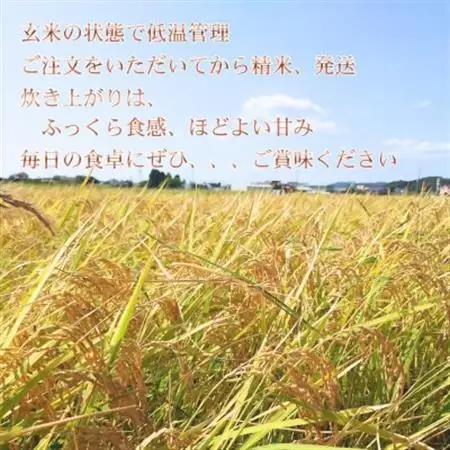 【令和7年産】館山市九重産コシヒカリ　5kg 精米【1728953】