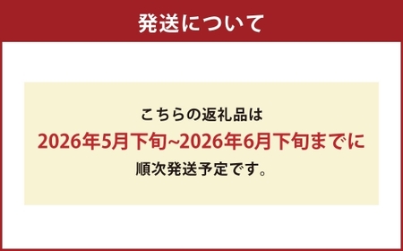 熊本県産 アールスメロン 2玉 熊本県 果物 くだもの フルーツ 熊本県産 国産 メロン ジューシー めろん 【 2026年5月下旬発送開始 】