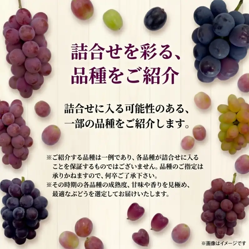 36品種からプロが厳選した「旬の宝石箱」大粒ぶどう詰合せ（シャインマスカット含まず）約2kg（2026年先行予約 8月上旬～8月中旬発送分）