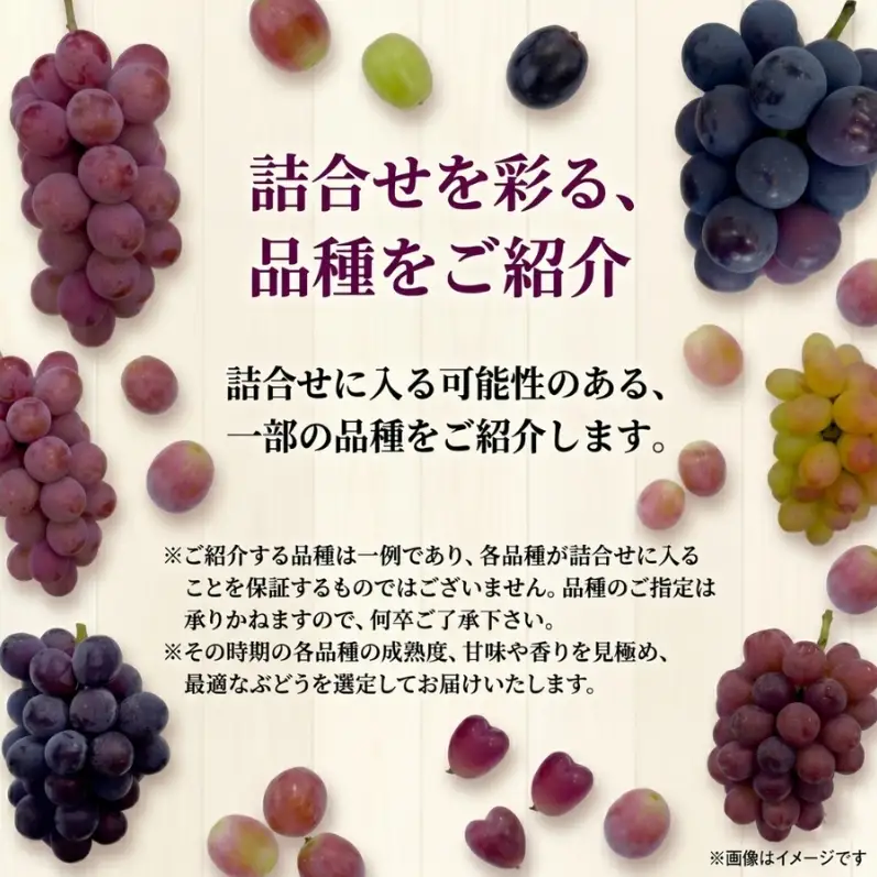 【2026年先行予約】28種の大粒品種から届く「秋の大粒ぶどう宝石箱」（シャインマスカット1房含む）約2kg（9月中旬～下旬発送分）|ぶどう 詰合せ 希少 セット 大粒  残暑見舞い 敬老の日 葡萄 ブドウ 果物 フルーツ くだもの 大阪 贈答 プレゼント