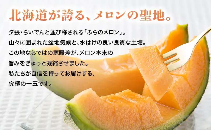 【2026年9月下旬～発送】ふらの 赤肉 秋メロン 2玉 計3.2kg以上 [高見農園] メロン フルーツ 果物 新鮮 甘い 贈り物 ギフト 秋 北海道 富良野市