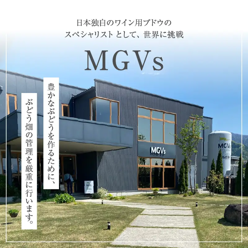 MGVsワイナリー極上赤白ワイン2本セット（KSB）I1-610