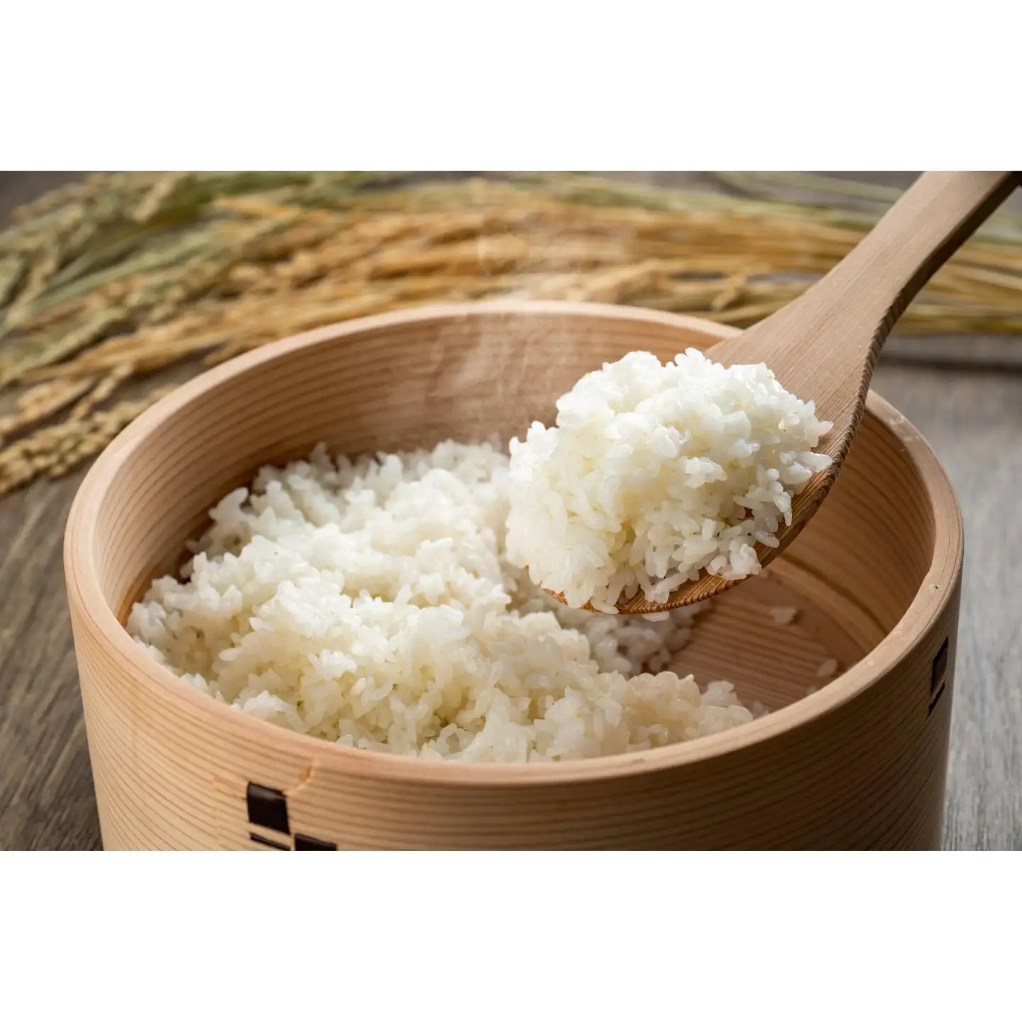 こしひかり 富士 5kg