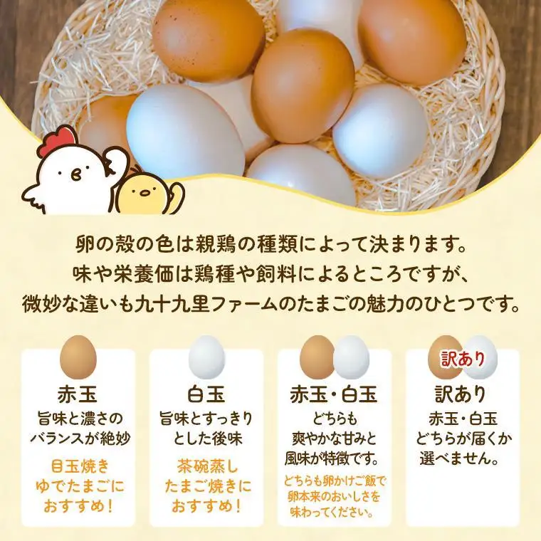 【定期便8回】九十九里ファームこだわりたまご贈答用 30個 ～あおい海・みどりの里～《白玉》 たまご 卵 玉子 タマゴ 白玉 卵かけご飯 新鮮 旨み 甘み 贈答用 贈答 ギフト 贈り物 千葉県 匝瑳市