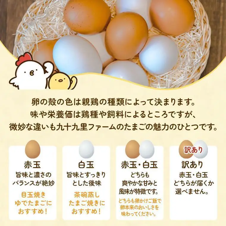 【定期便11回】九十九里ファームこだわりたまご贈答用 30個 ～あおい海・みどりの里～《白玉》 たまご 卵 玉子 タマゴ 白玉 卵かけご飯 新鮮 旨み 甘み 贈答用 贈答 ギフト 贈り物 千葉県 匝瑳市