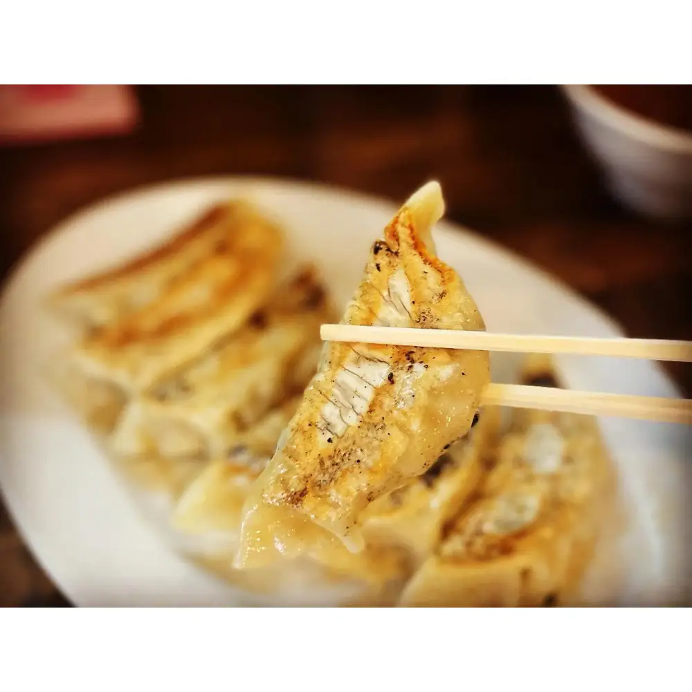肉餃子 45個【配送不可：沖縄県・離島】