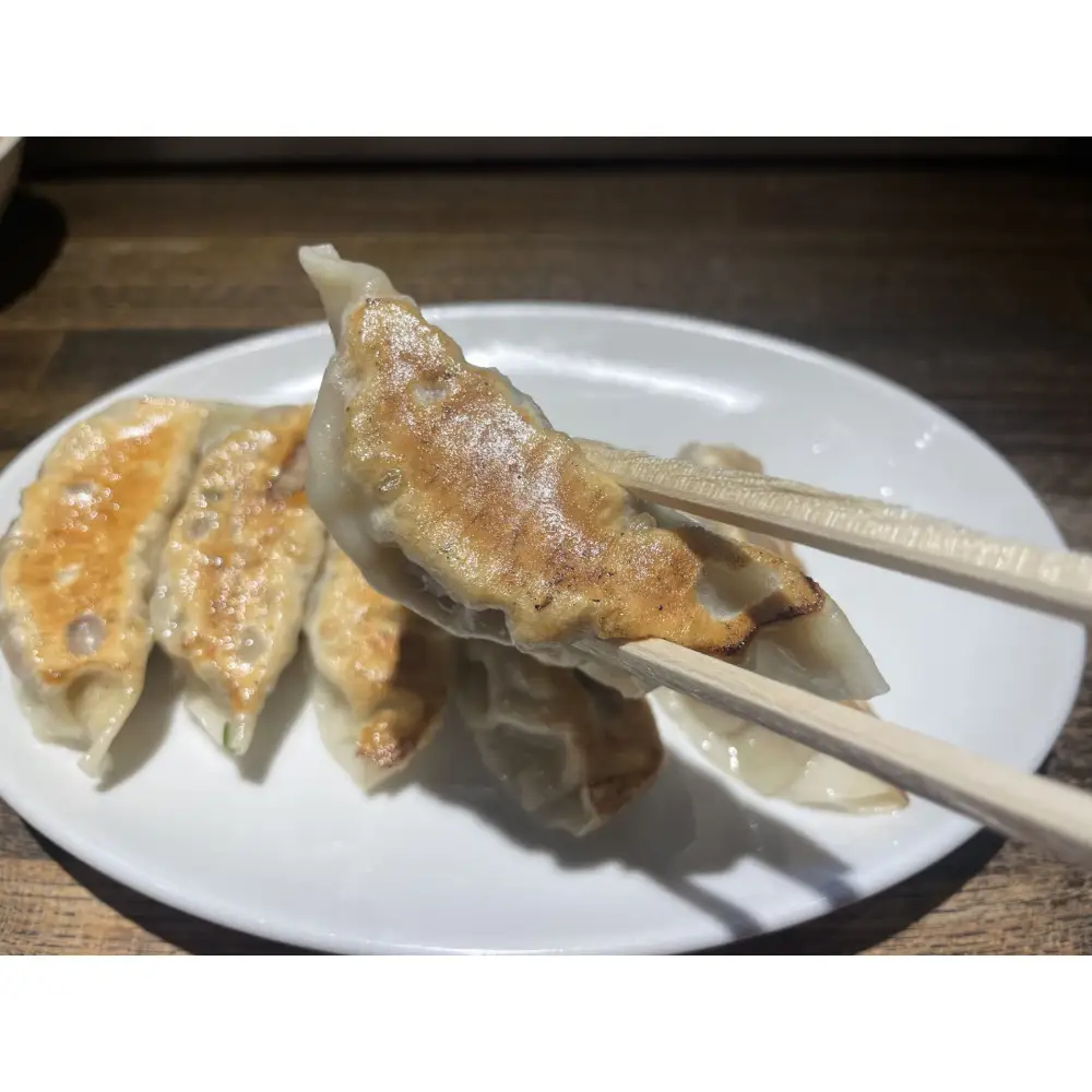 味幸の餃子食べ比べセット（肉・野菜・生姜）15個×3種 【配送不可：沖縄県・離島】