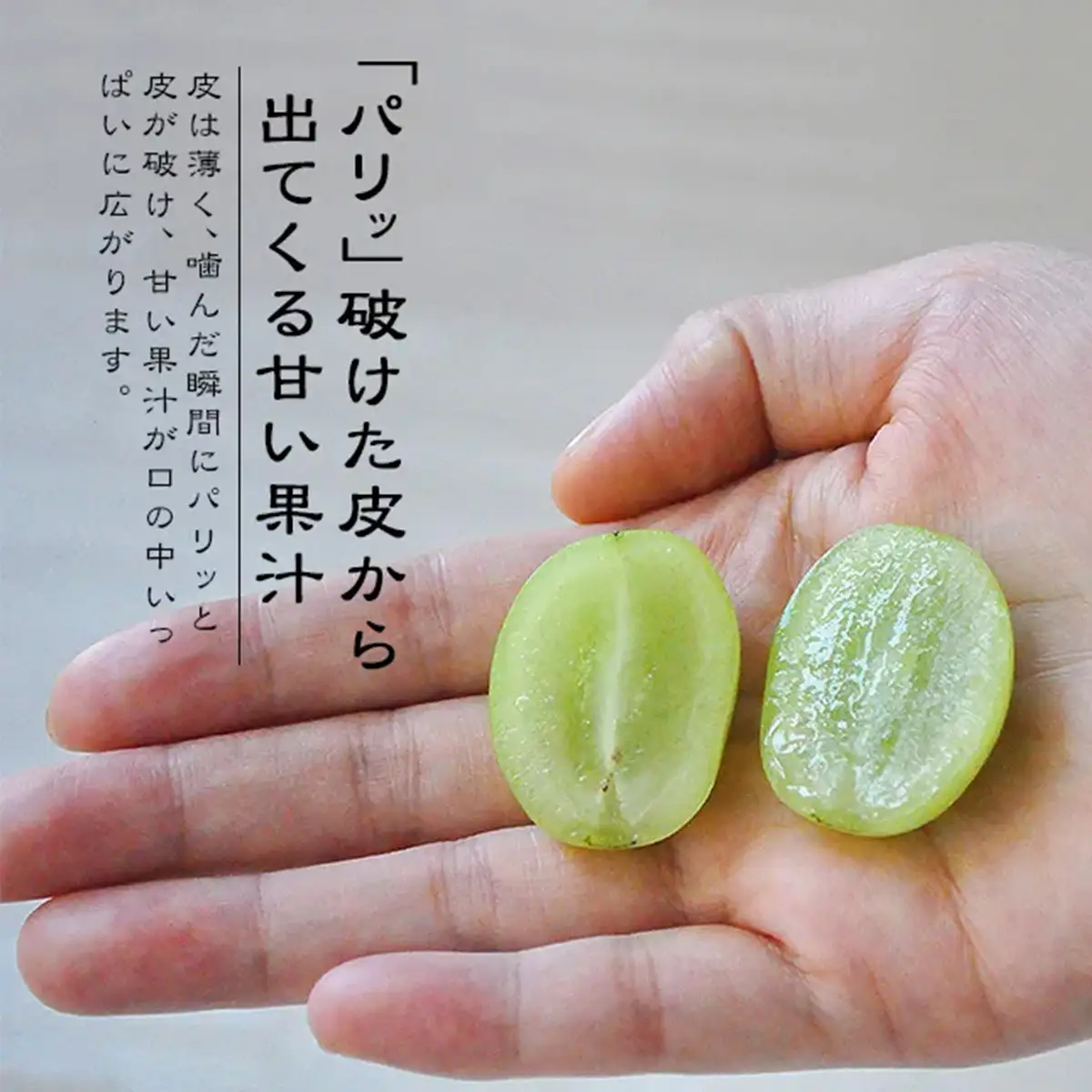 [先行予約] 神宮寺ぶどう シャインマスカット 2kg [0322]