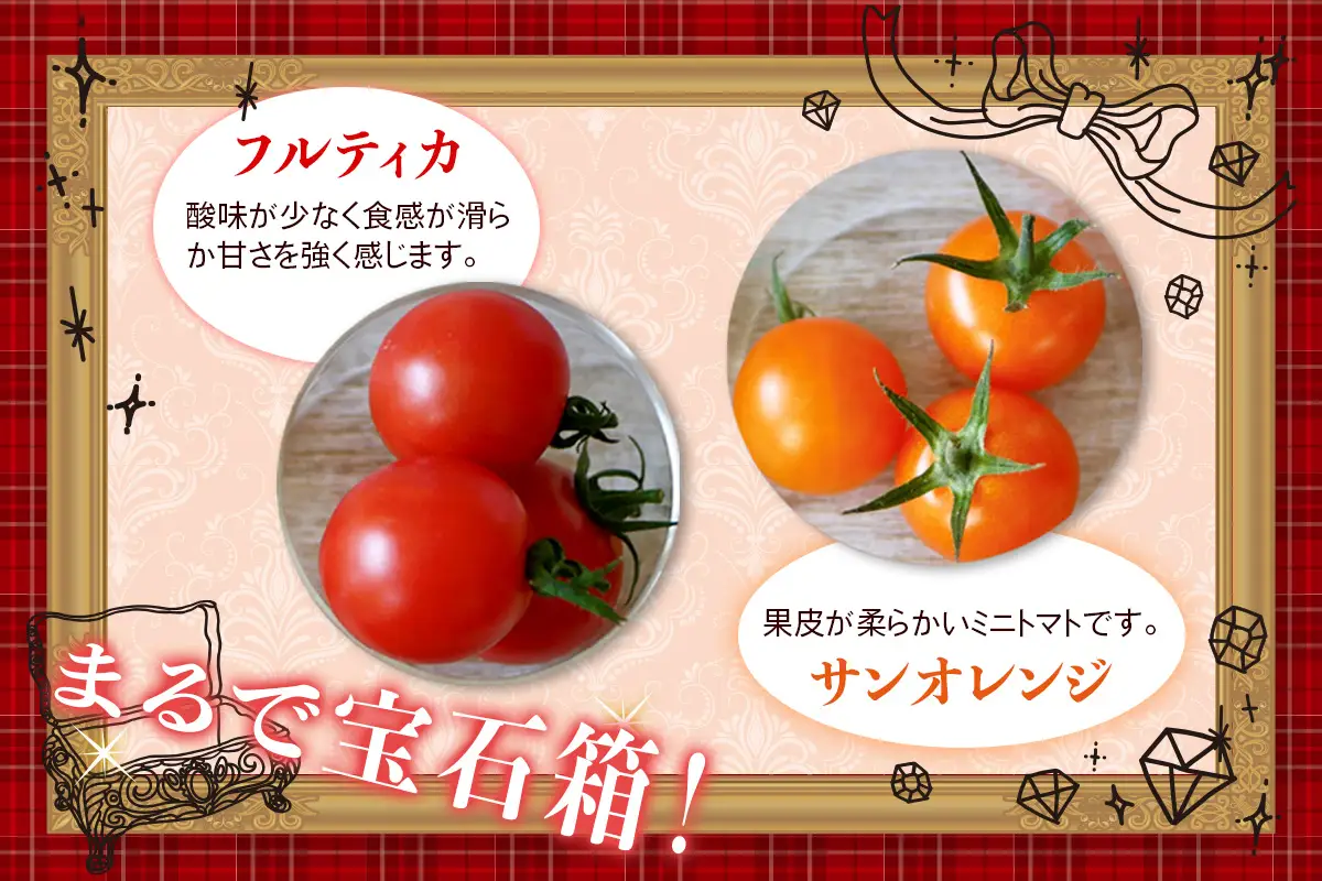 カラフルトマト 箱入り 5品種詰め合わせ 1.5kg ひと口食べたらくせになる！｜ミックス 甘い プレゼント 贈り物 ギフト [1043]