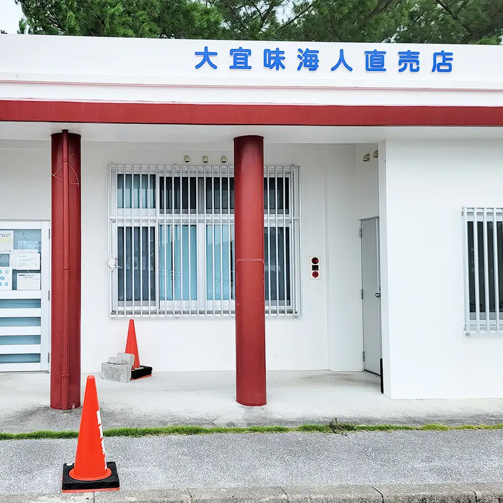 【定期便：3回】いぎみ焼き（ハイケイにんにく焼き）600g（150g×4袋） 沖縄 大宜味村 親鳥 鶏肉 チキン ニンニク 600g ふるさと納税 送料無料 ご当地 お取り寄せ 人気 つまみ ジューシー プレゼント 自分用 定期便 定期3回