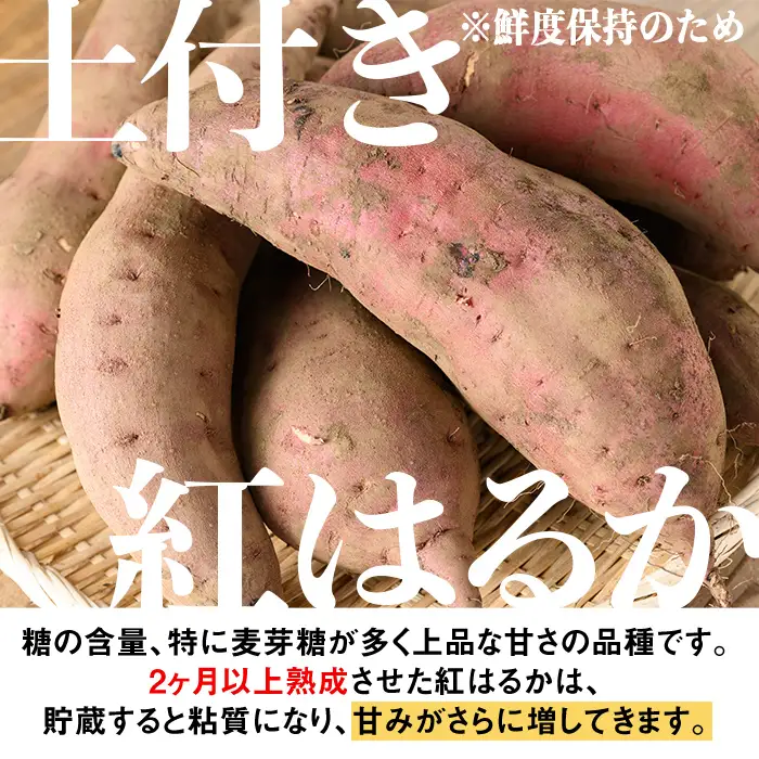isa875 《訳あり》熟成紅はるか(約10kg・2L～3Lサイズ混合) 訳あり さつまいも 紅はるか 鹿児島 生芋 完熟 長期熟成 土付き べにはるか サツマイモ 焼き芋に 【いさ工房】
