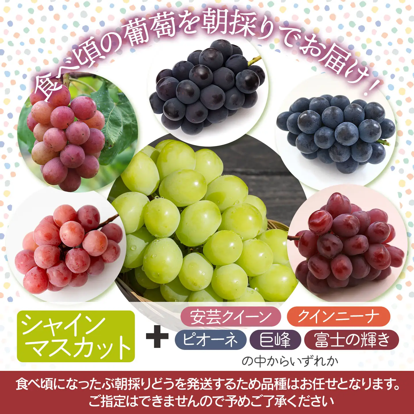 【令和8年産先行予約】 ぶどう詰め合わせ（品種おまかせ） 2kg（3～4房）　山形県鶴岡市　鶴岡中央青果　| ぶどう ブドウ 葡萄 果物 くだもの フルーツ 食べ比べ 2キロ 旬 期間限定 2026年産 人気 美味しい お取り寄せ 返礼品