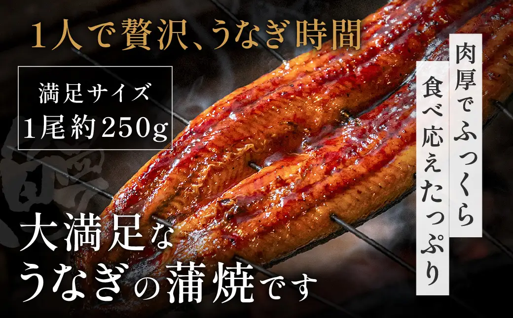 ZI369.うなぎ蒲焼き1尾セット（約250g×1尾）