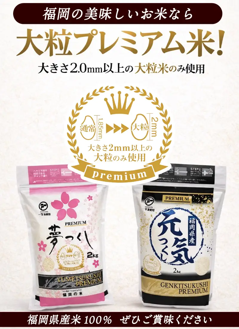 【ふるさと納税】福岡県産 夢つくし プレミアム 精米 2kg×5P（計10kg） 配送日時指定不可 2週間～2ヶ月に発送 [a0834] ※配送不可：離島【返礼品】添田町 ふるさと納税