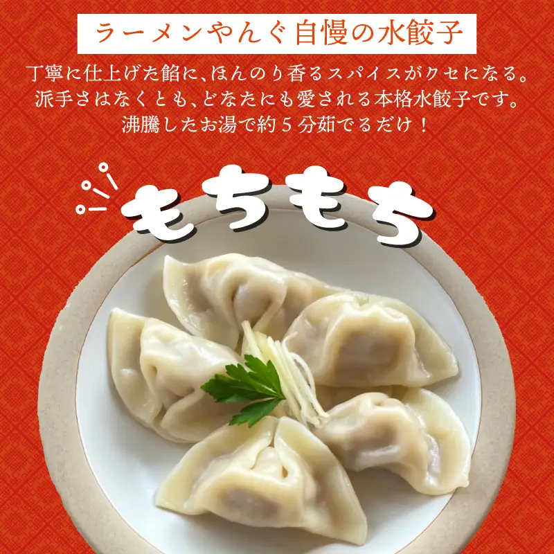 【お試し】水餃子 自家製水餃子 10個（10個入り×1袋）餃子 冷凍餃子 冷凍ギョーザ ギョーザ 冷凍ぎょうざ 中華 ギョウザ ぎょうざ 点心 スイギョウザ 中華料理 お試し用 5000円 五千円 ラーメンやんぐ 静岡県 三島市