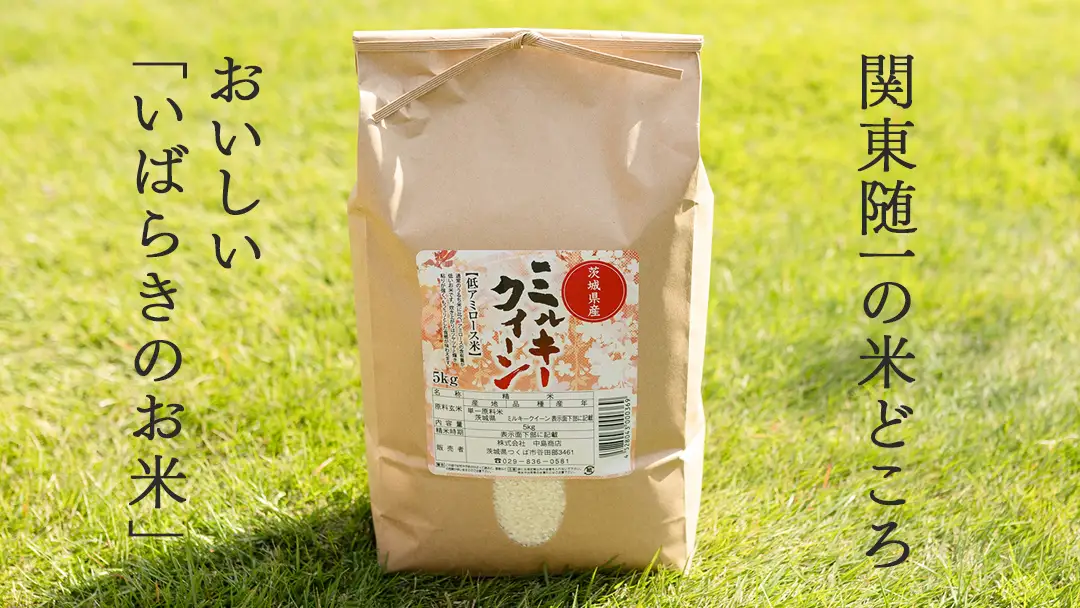 令和7年産 茨城県産 玄米 ミルキークイーン 10kg （5kg×2袋）
