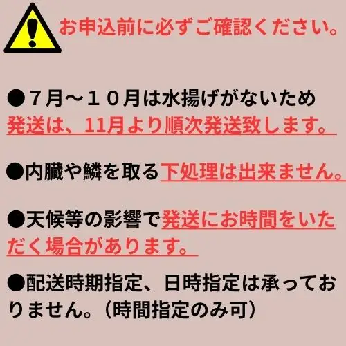 133003　定置網朝どれ鮮魚ボックス6kg