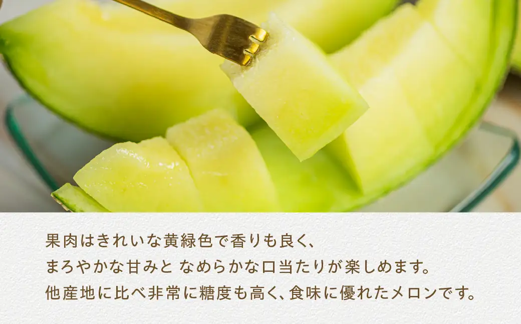 JA愛知みなみ 夏のフルーツ定期便 3回 お届け タカミメロン アールスメロン 温室みかん メロン ミカン 蜜柑 みかん 定期便 旬 夏 フルーツ 果物 くだもの 甘い スイーツ おやつ 渥美半島 田原市 愛知県 3ヶ月 3か月 三カ月 定期 青肉 フルーツ定期便
