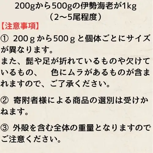 133004　活　伊勢海老（1kg）