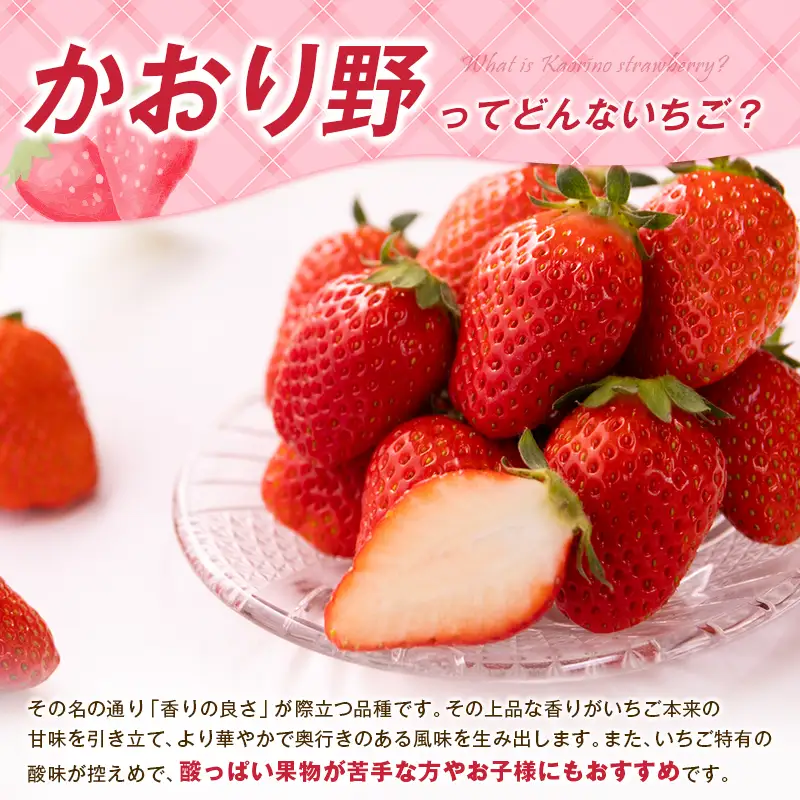 ＜2027年出荷＞先行予約 宮崎県産 いちご「かおり野」計1kg フルーツ 期間限定 デザート ご褒美【B700】