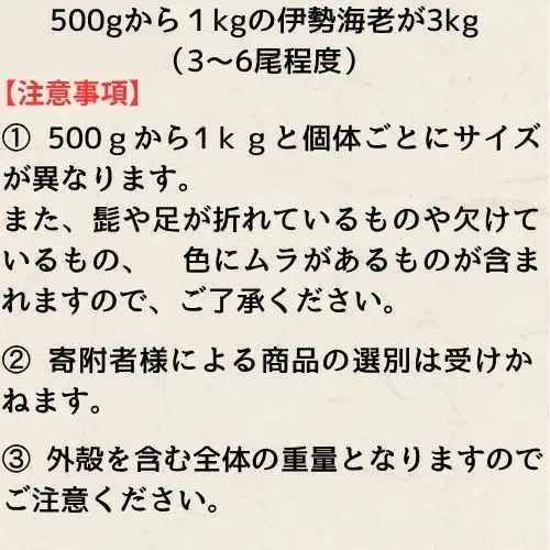 133005　活　伊勢海老（3kg）訳あり品を含む