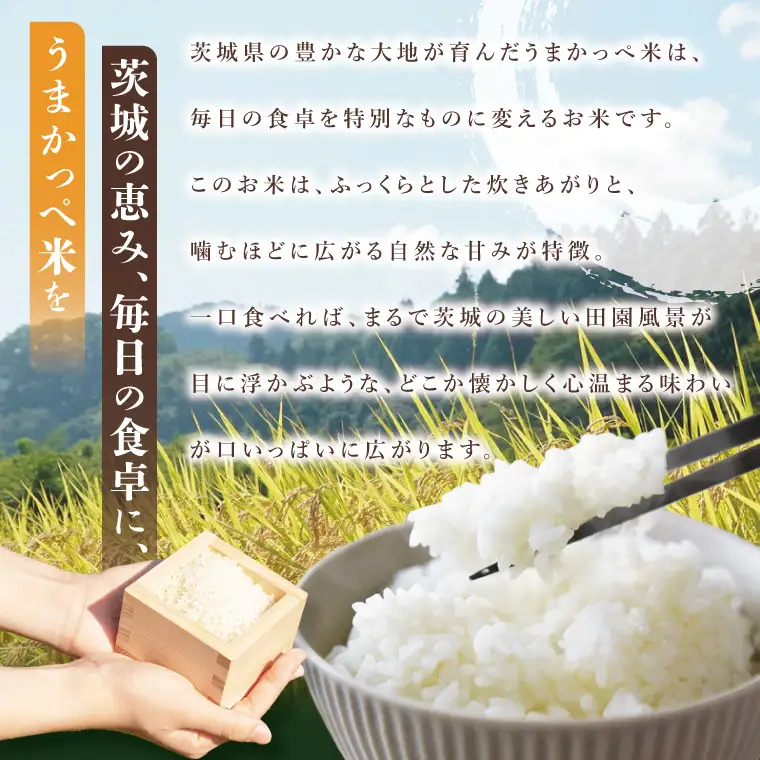 【3ヶ月定期便】令和7年産　奥久慈の恵みうまかっぺ米（コシヒカリ） 5kg｜茨城県 大子町 お米 白米 精米 ブランド米 銘柄米 食味値 ふっくら もちもち（AH019）