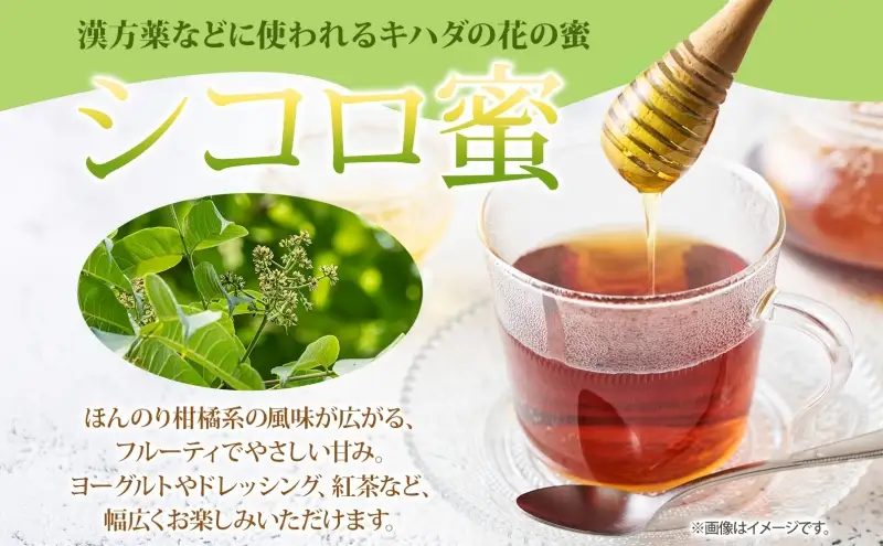 北海道 美深産 はちみつ 2種 そばはちみつ シコロはちみつ 各200g 蕎麦蜜 蕎麦 蕎麦はちみつ ソバはちみつ 生 しころはちみつ シコロ蜜 国産 生はちみつ 無濾過 非加熱 無加糖 鉄分 ポリフェノール お取り寄せ 送料無料 北海道産