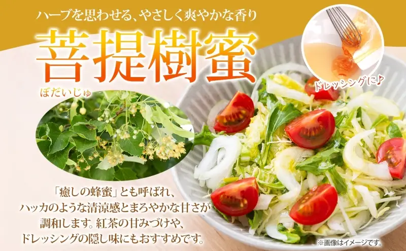 北海道 美深産 はちみつ 2種 そばはちみつ 菩提樹はちみつ 各200g 蕎麦蜜 蕎麦 蕎麦はちみつ ソバはちみつ 生 菩提樹蜜 シナはちみつ シナ蜜 国産 生はちみつ 無濾過 非加熱 無加糖 鉄分 ポリフェノール お取り寄せ 送料無料 北海道産