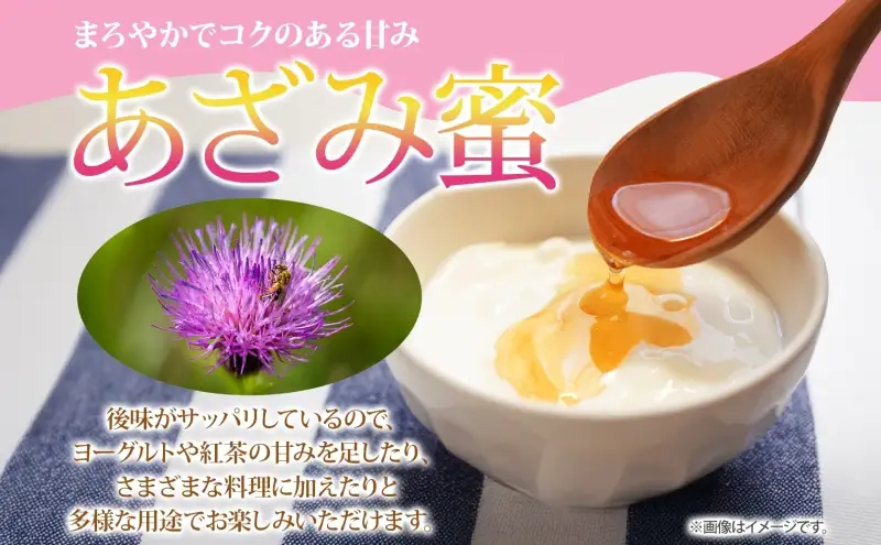 北海道 美深産 はちみつ 2種 あざみはちみつ たんぽぽはちみつ 各200g タンポポ蜜 タンポポ タンポポ蜂蜜 アザミハチミツ アザミ蜜 あざみ蜜 生 国産 生はちみつ 無濾過 非加熱 無加糖 ポリフェノール お取り寄せ 送料無料 北海道産