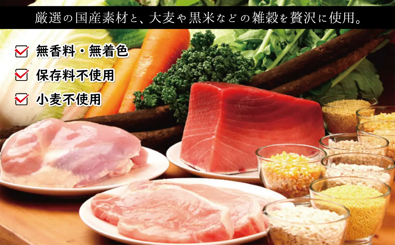 アニマル・ワン 雑穀ごはんぞうすい（チキン）100g×10袋	